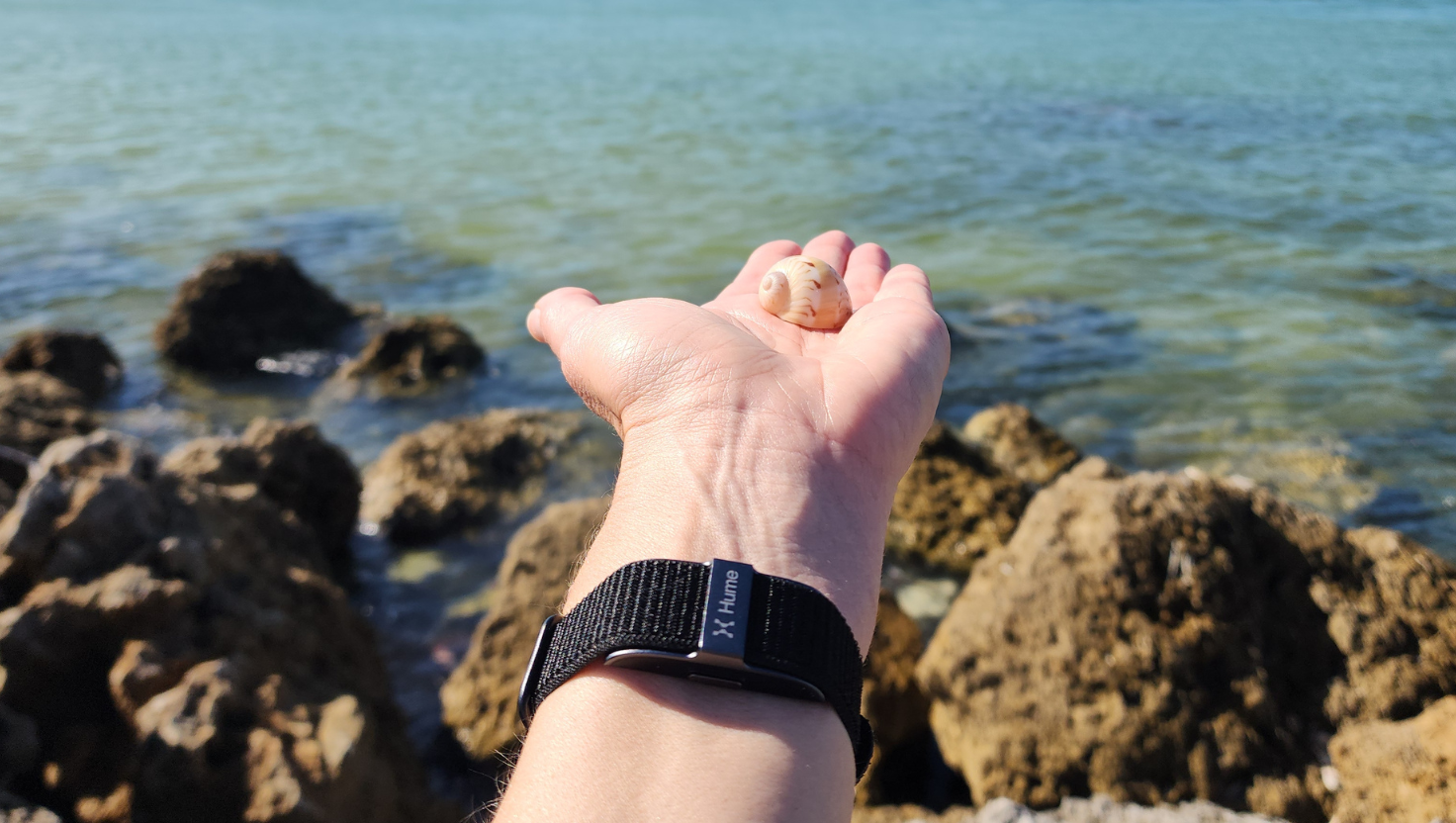 Hume Health Wrist Band